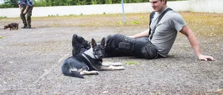 Hundägare med jakt i sikte