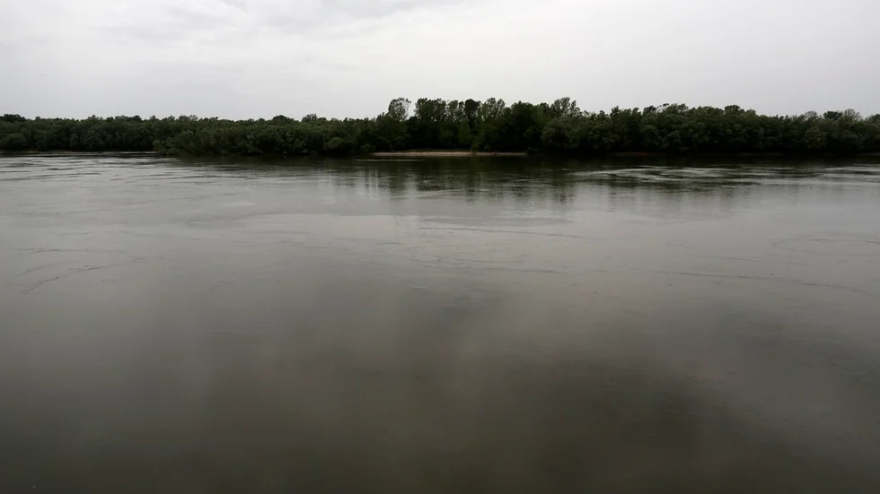 Liberland – ett träsk som utgör dagens Eldorado för nästan en halv miljon människor.