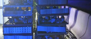500 brevduvor tappades ut på E4