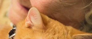 "Jag tror jag blir kattfarmare så alla får varsin"