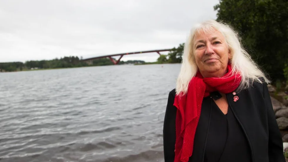 Vänsterpartiets Kerstin Lundberg har hamnat i blåsväder efter att ha gjort en ful gest mot Jimmie Åkesson vid ett torgmöte 2018.