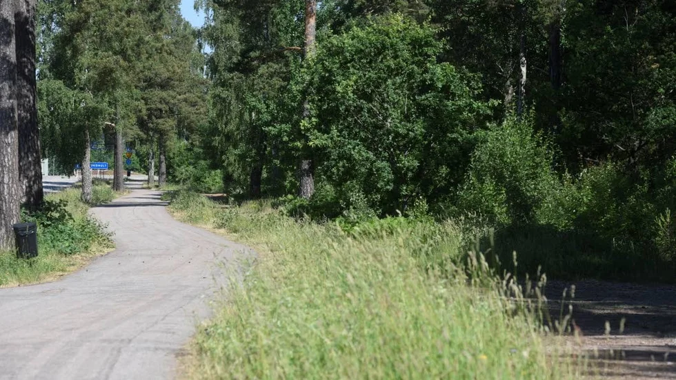 De som vill bevara VOK-skogen och göra den ännu mer attraktiv har flera partier att rösta på, menar debattören.