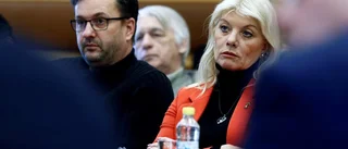 Rudberg kan lämna politiken helt