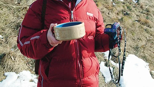 - Nu har mamma bara en tom hundskål och ett hundkoppel. Vi är alla lurade och jag känner mig som en idiot som gick på den här, säger den lurade kvinnans dotter Jill Arfwedson. Foto: Janne Strömsten