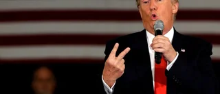 Maria Björk Hummelgren: Vad vill Donald Trump?