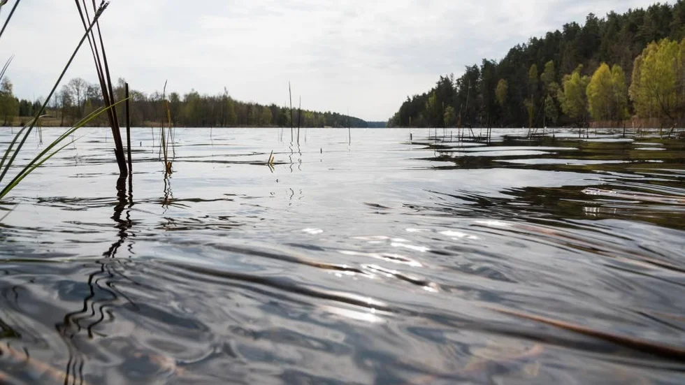 Det behövs fortfarande mer regn för att vattennivåerna ska stiga tillräckligt mycket för att bevattningsförbudet ska kunna hävas.