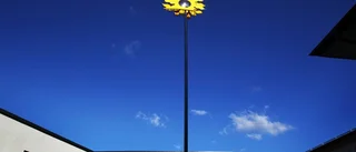 Falskspel om Solbacken?