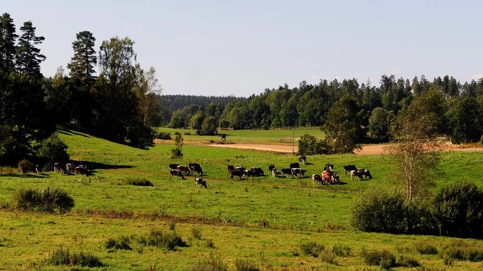 Landsbygden har inte några problem med att överleva på egen kraft och egna resurser, skriver Jakob Styrenius.