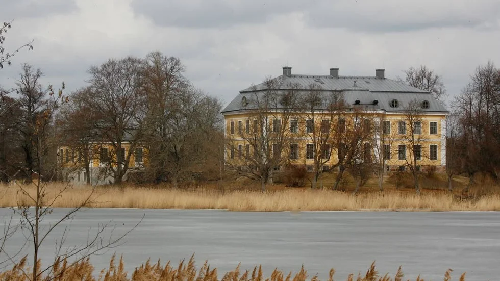 Fågelvik slott var länge till salu. Nu har ägaren valt att behålla det.