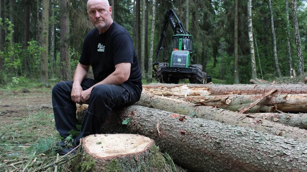 Johan Sandquist har fällt träden som nu snabbt ska transporteras ut ur Vallaskogen.