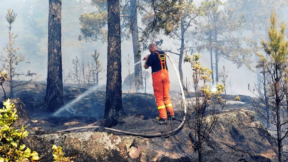 Brand. Det har brunnit mycket i och i närheten av Ankarsrum på senaste tiden.