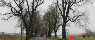 Varför denna grävningshysteri?