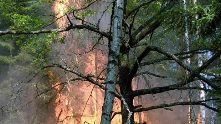 Räddningstjänsten varnar och förbjuder eldning i naturen.