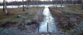 Vårflod i december