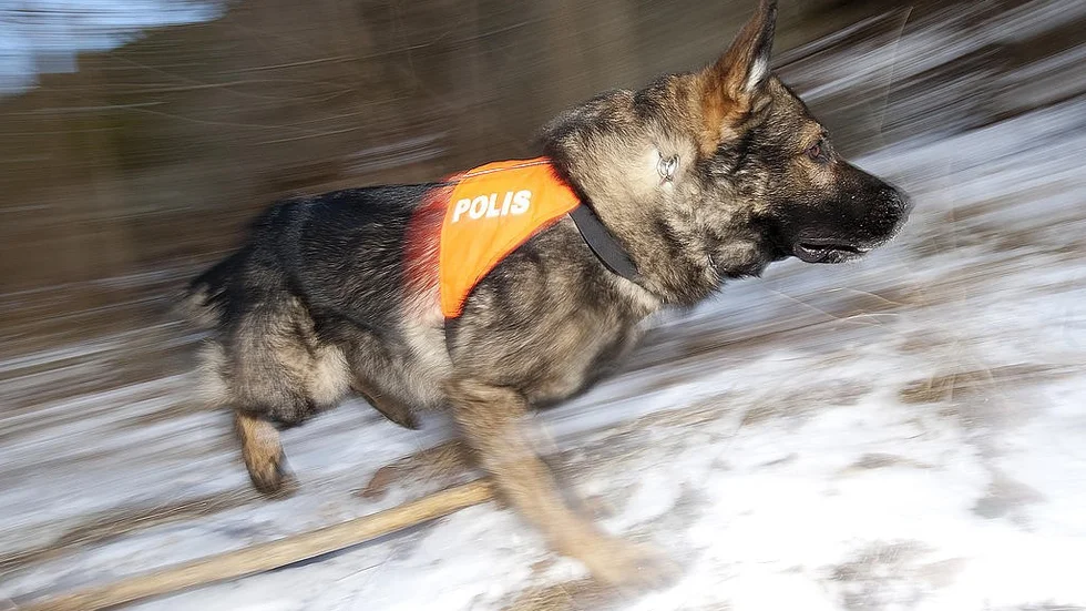 Symbolbild. En av polisens hundpatruller hittade flickan och mamman.