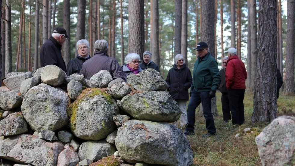En del av gruppen bland stenrösen i Björkesnäs.Foto: Hans Nilsson