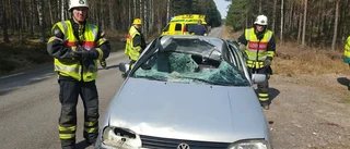 BLÅLJUS: Personbil i kollision med älg - kvinna till sjukhus