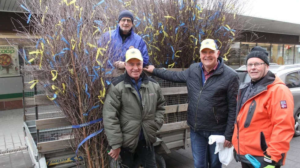 122 påskris – med pappersband – har Hultsfreds Lions Club sålt i år. Det ger 12 000 kronor till hjälpverksamhet. På bilden Boris Widén, Jan Almqvist, Göte Nilsson och Sven-Åke Logg.