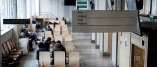 Migrationsfrågan får vi ta tag i själva