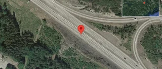 Rådjur på vägen på E20