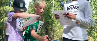 Kontrolljakt i skogen – med kartan i högsta hugg