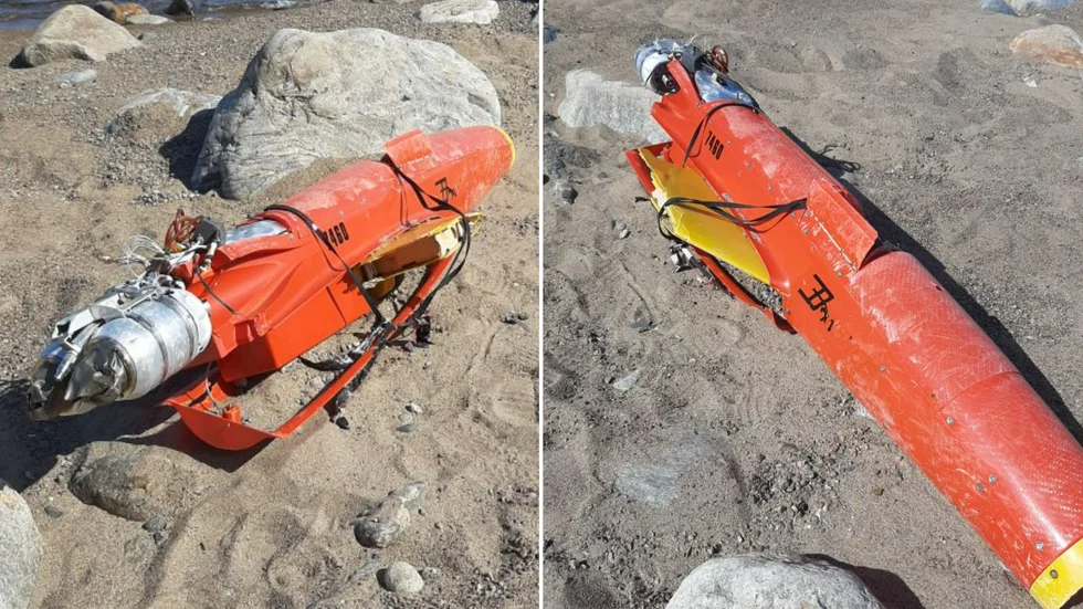 Föremålet hittades på en strand i närheten av Bjuröklubb.