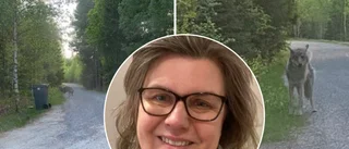 Stod öga mot öga med rovdjuret: ”Otroligt fascinerande”