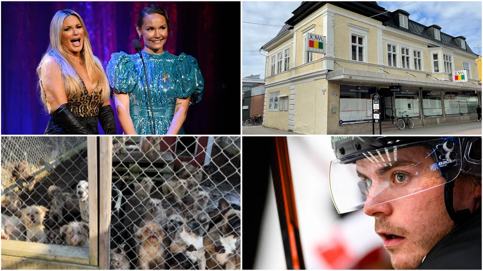 Testa dina kunskaper i vårt quiz och ha chansen att vinna trisslotter. (Arkivbilder)