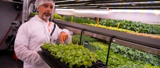 Pierre är mannen bakom den omtalade butiksodlingen