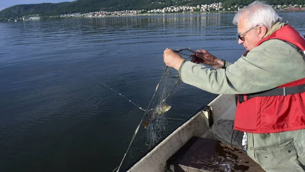 Vivert Johansson, en av dagens debattörer, vittjar nät på Vättern.