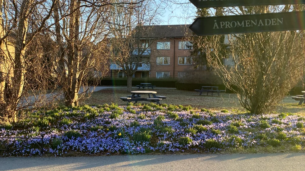 Drömparken 20 april.