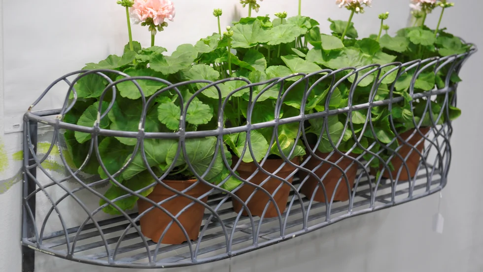 Använd inte blomjord med torv i när du planterar i vår, uppmanar Ingela Björck.