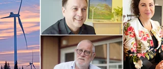Lokal besvikelse över vindkraftsutredningen