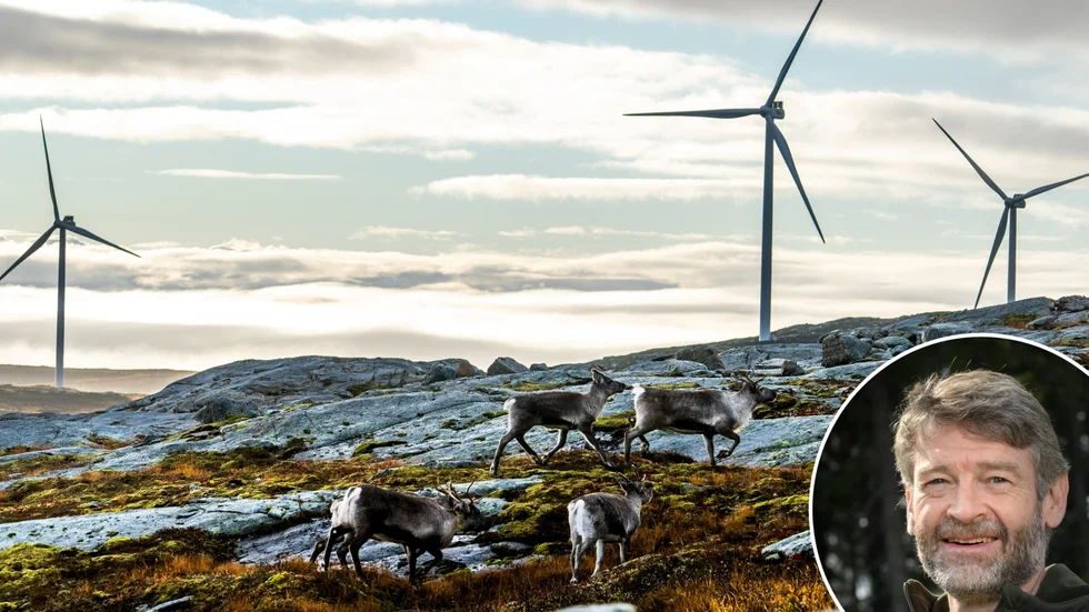 Planerna på ett vindkraftspark på Hällberget kan vara på väg in i ett nytt scenario. Vasa vind ansöker om att få bygga högre vindsnurror. Bilden är hämtad från Storheia vindkraftspark i Norge.    