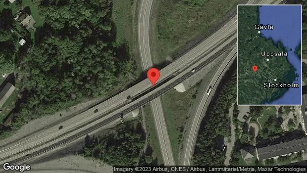 Rådjur på vägen på E18