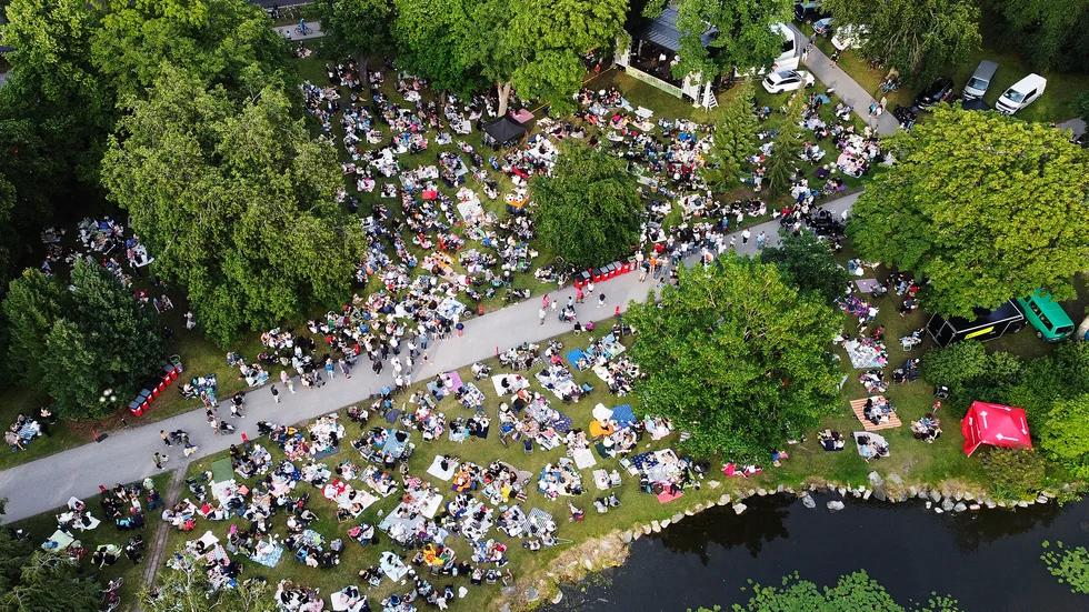 I stadsparken i Eskilstuna finns det många träd. Bilden är tagen under Picnic i parken.