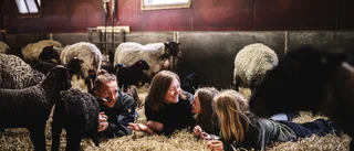 Möt familjen Berg – tredje generationen i bullerbyidyllen