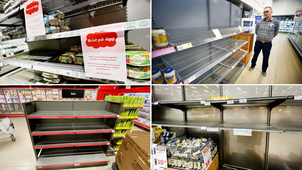 "Jag har aldrig varit med om liknande förut. Tittar utanför Ica men har inte hittat någon som kan sälja ägg till mig, det finns inga att få tag i", säger Mats Klüft, handlare på Ica supermarket Tunafors, som inte har några ägg alls att sälja. Många butiker har problem med att få hem ägg, bland annat Hemköp, upp till vänster i bild, Willys Smeden, ner till vänster, och Stora Coop, ner till höger.