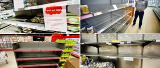 Enorm äggbrist i Eskilstuna – tomma hyllor i många butiker