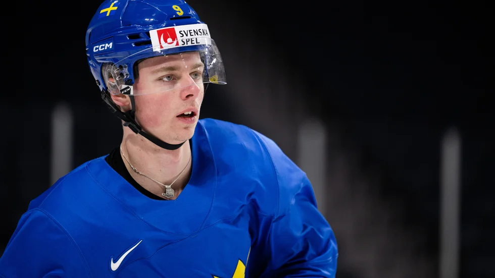 Ludvig Jansson var en av turneringens bästa spelare i junior-VM.