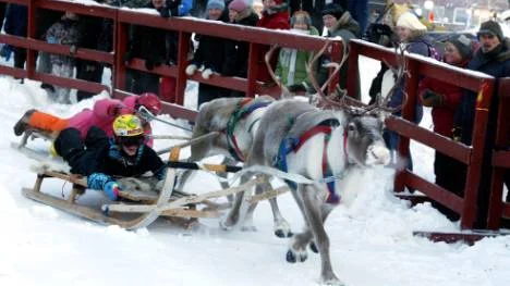 Renracet i årets snöfestival kommer att flyttas till stormarknadsområdet och köras på parkeringen utanför Coop.FOTO: Alexander Linder