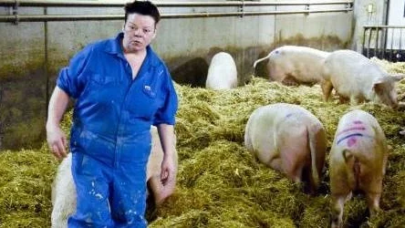 En griskris hotar landet. Det rekordbililga tyska dioxinköttet hotar att slå ut grisnäringen i landet. Yvonne Långström vet                 inte om hon kommer att kunna behålla gården hela året.FOTO: Peter Olofsson