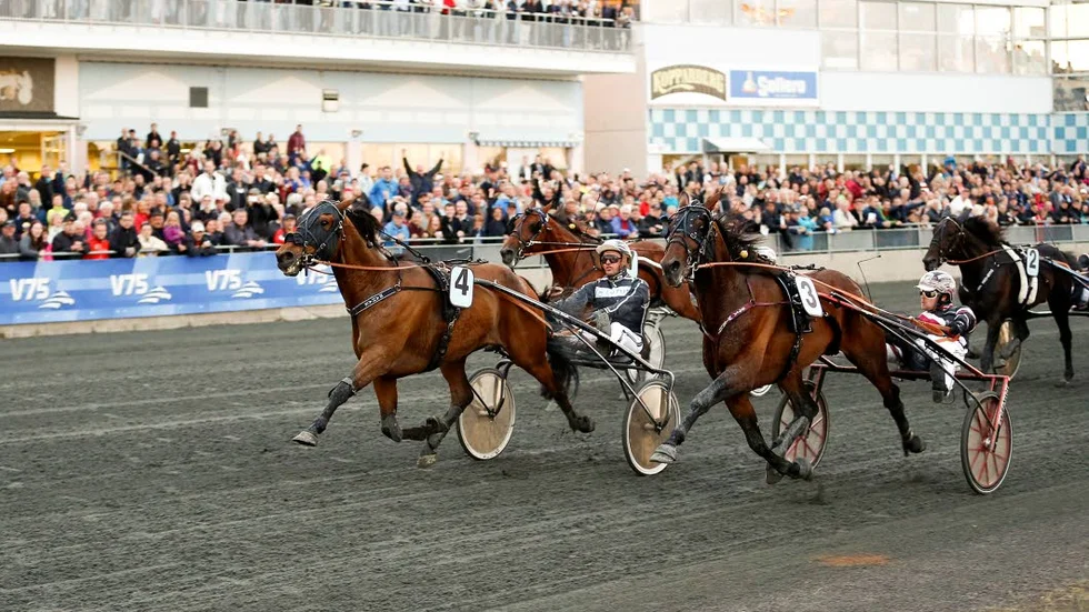 Nahar vann Norrbottens Stora Pris 2014.