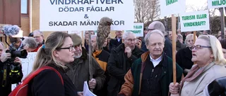 Det lutar åt ja till vindkraftspark