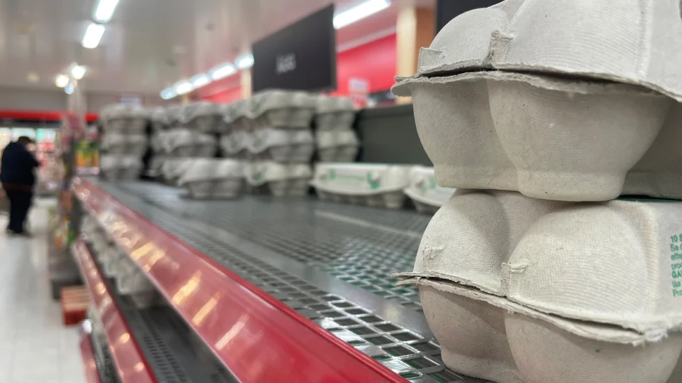 Äggutbudet varierar i butikerna EP besökt.