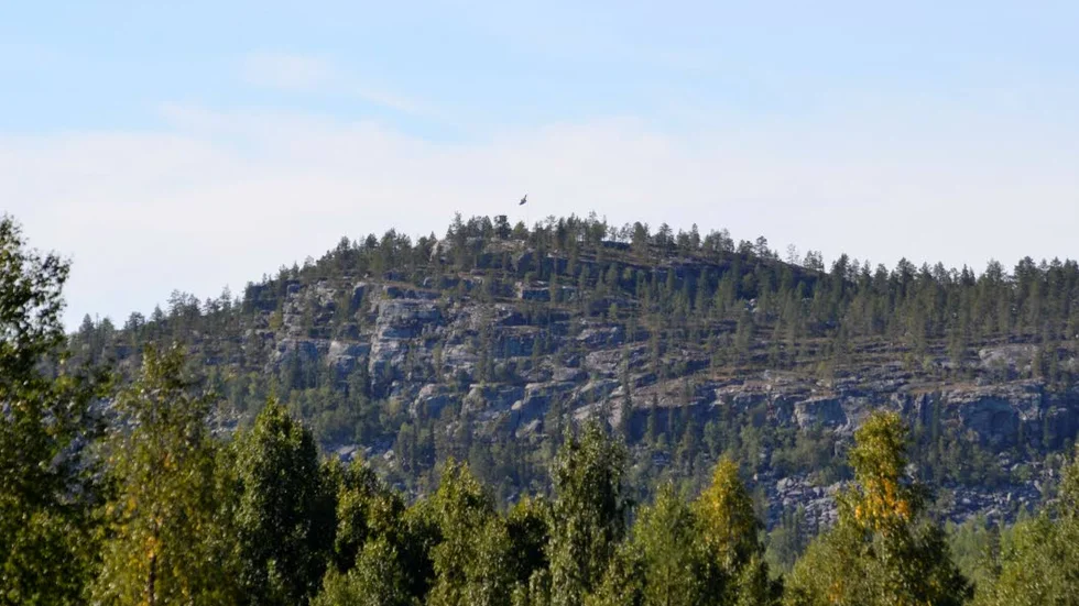 Naturen. Den nya ägaren ser stor turismpotential i Norrbotten.