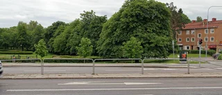 Runt hus väntas i parken i Valla