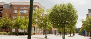 Universitetet får revisionskritik