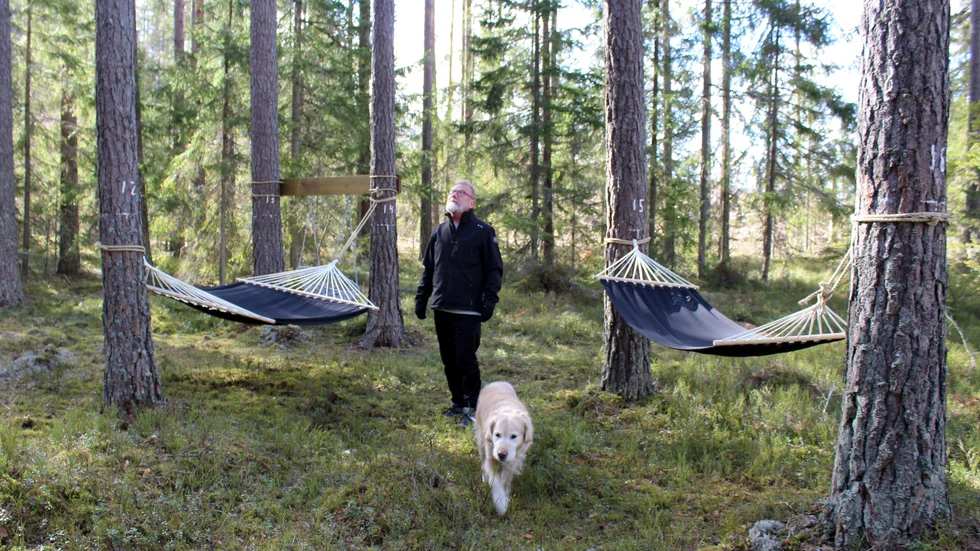 I mitten av naturstigen kommer man till en plats där det hänger hängmattor. Här har föreningen ordnat ett skogsbad  – en plats att slappna av på. På vimmerbytidning.se kan du se ett tv-inslag där Ove Olsson berättar mer om vad ett skogsbad är. 