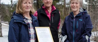 Pantertanterna vann slaget om skogen • Ingen avverkning i Rävdalen: "En stor lättnad"